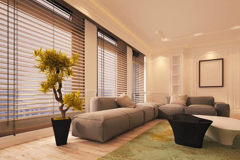 venetian blinds
